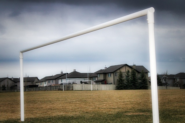 辽宁111-110上海，赛后迎“好消息”，金金+2将获证明，杨鸣完美应变.