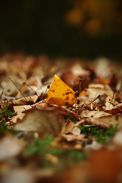 上海薛思佳记者的嘴脸得了便宜还倒打咱们一耙11亮24回复.